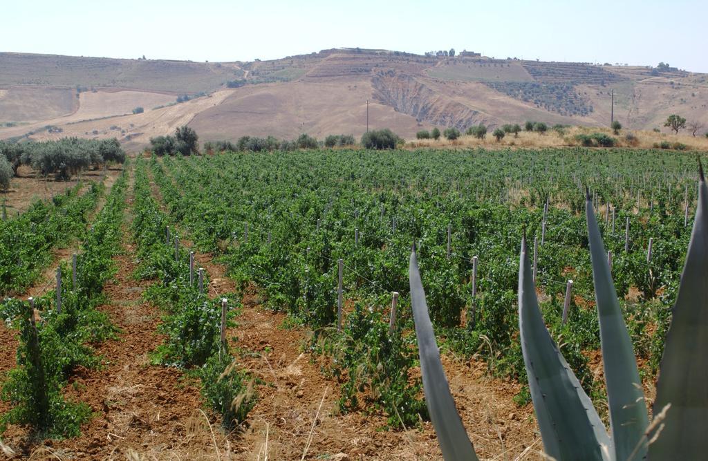 Antica Tenuta Del Nanfro Caltagirone Exterior photo
